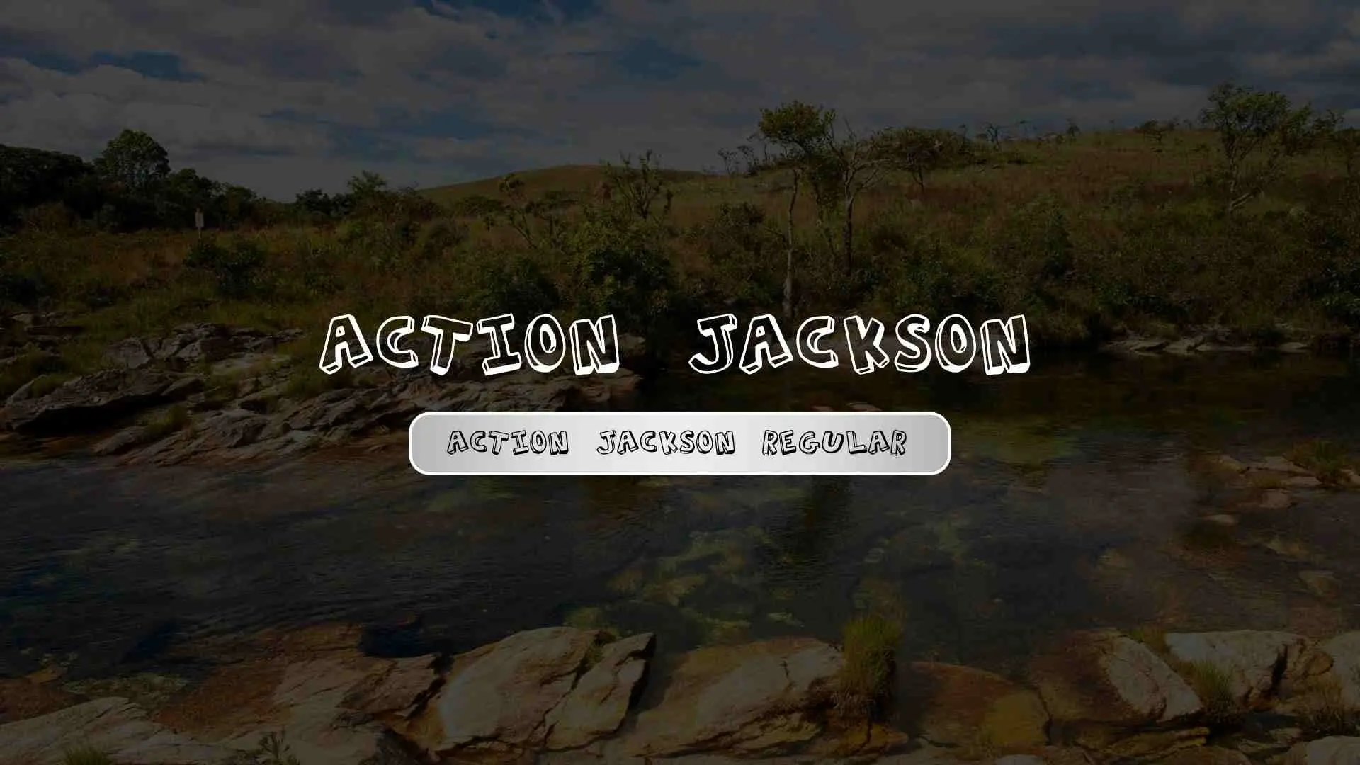 Action Jackson Regular