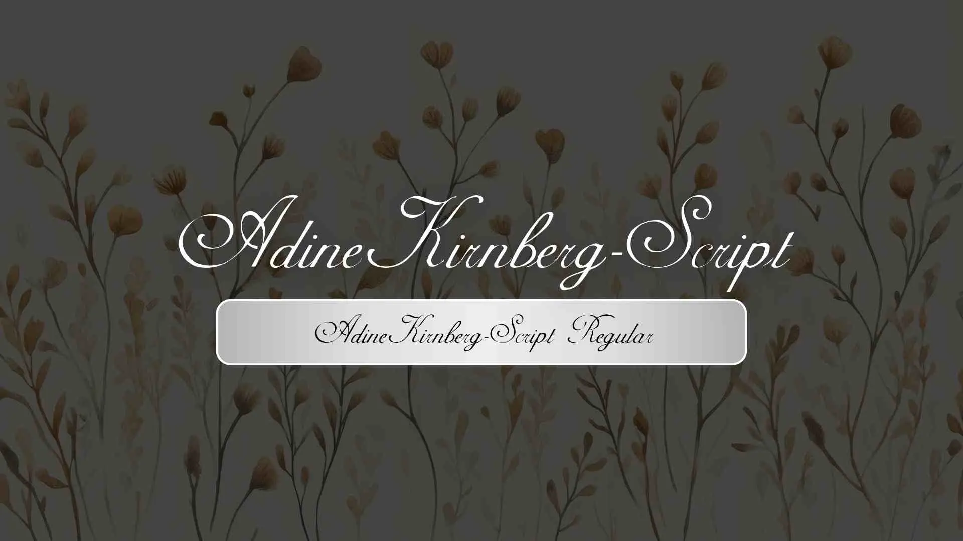 AdineKirnberg-Script Regular