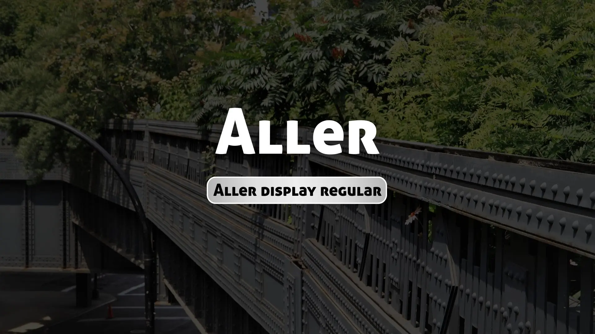 Aller Display Regular