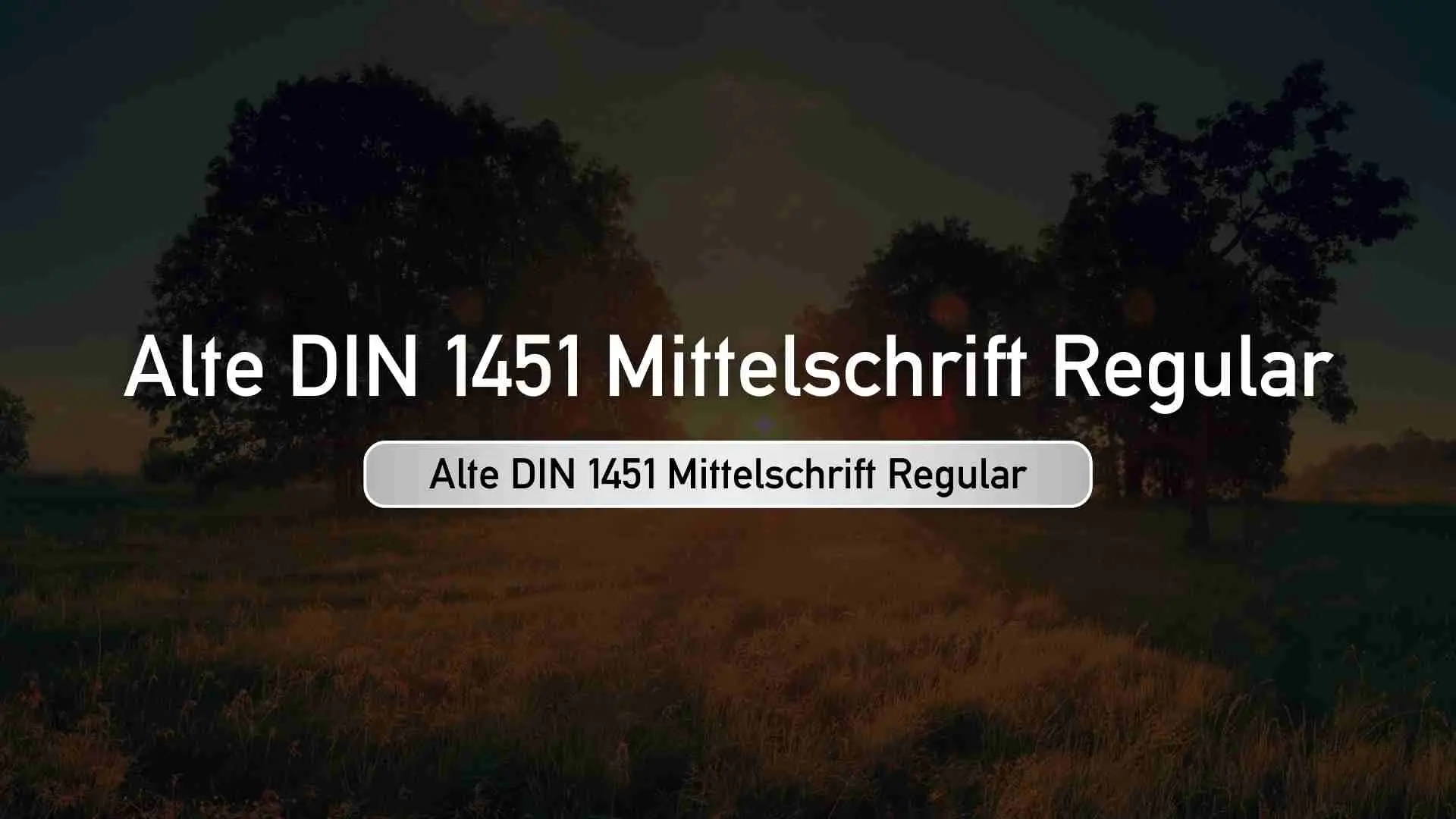 Alte DIN 1451 Mittelschrift Regular