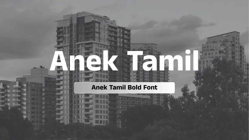 Anek Tamil Bold