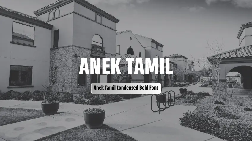 Anek Tamil Condensed Bold