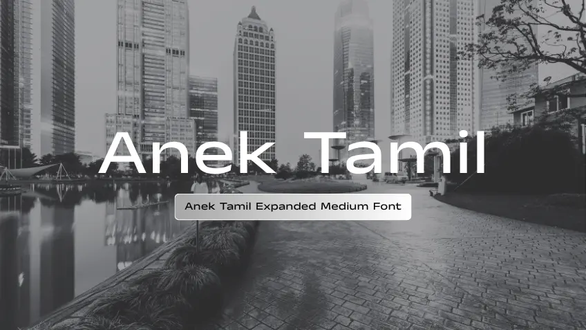 Anek Tamil Expanded Medium