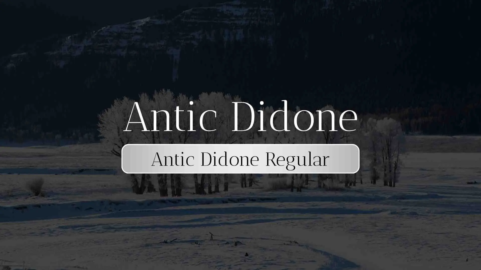 Antic Didone Regular