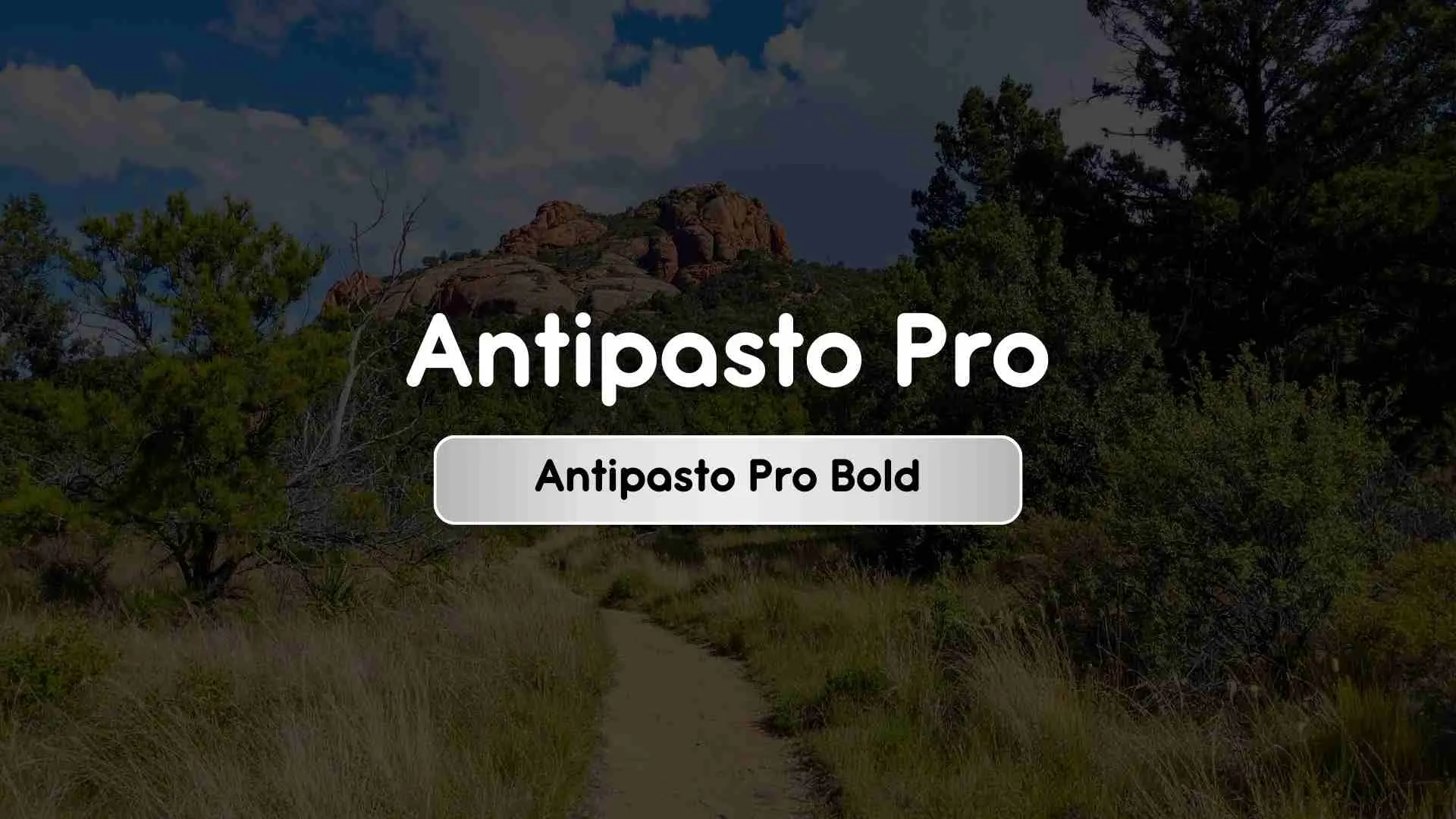 Antipasto Pro Bold