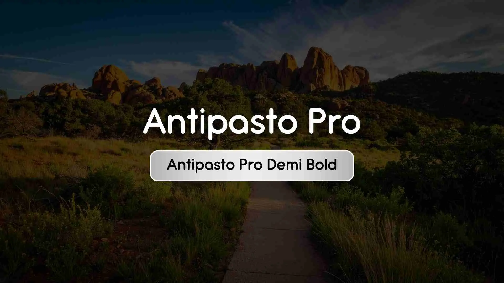 Antipasto Pro Demi Bold