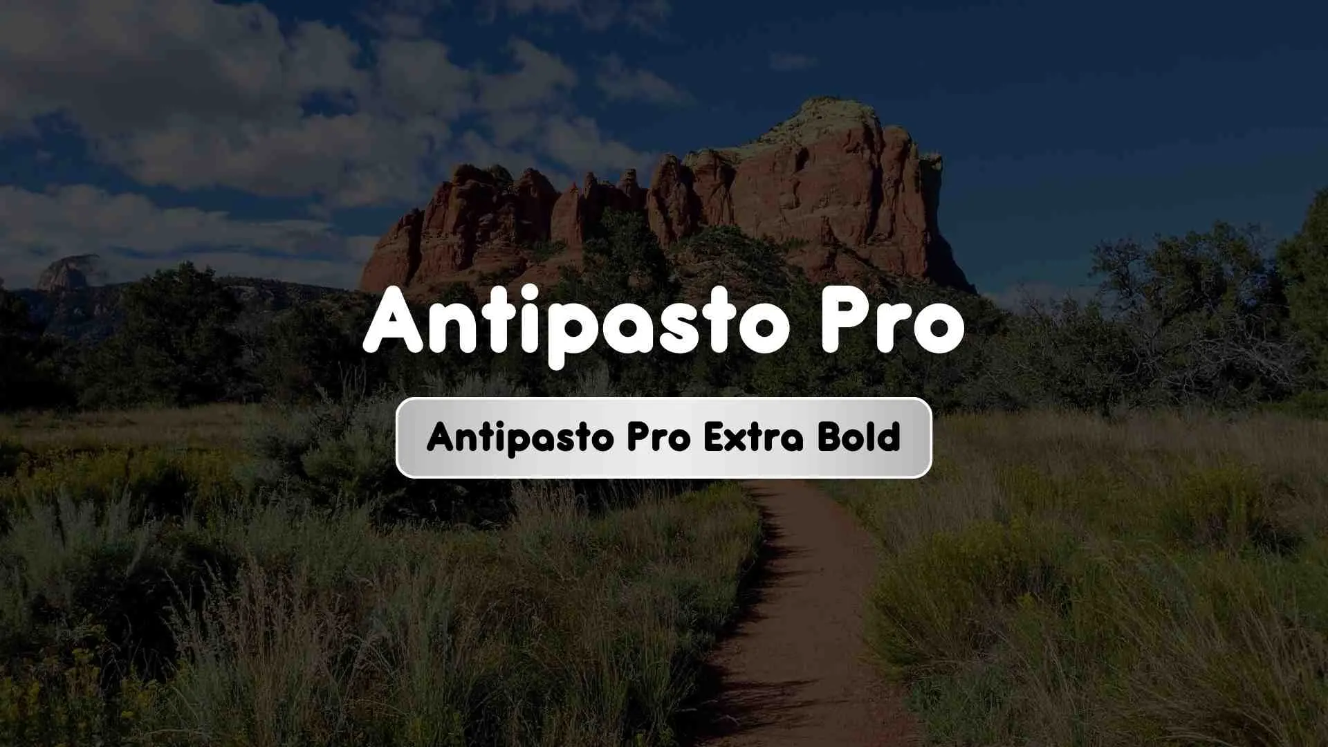 Antipasto Pro Extra Bold