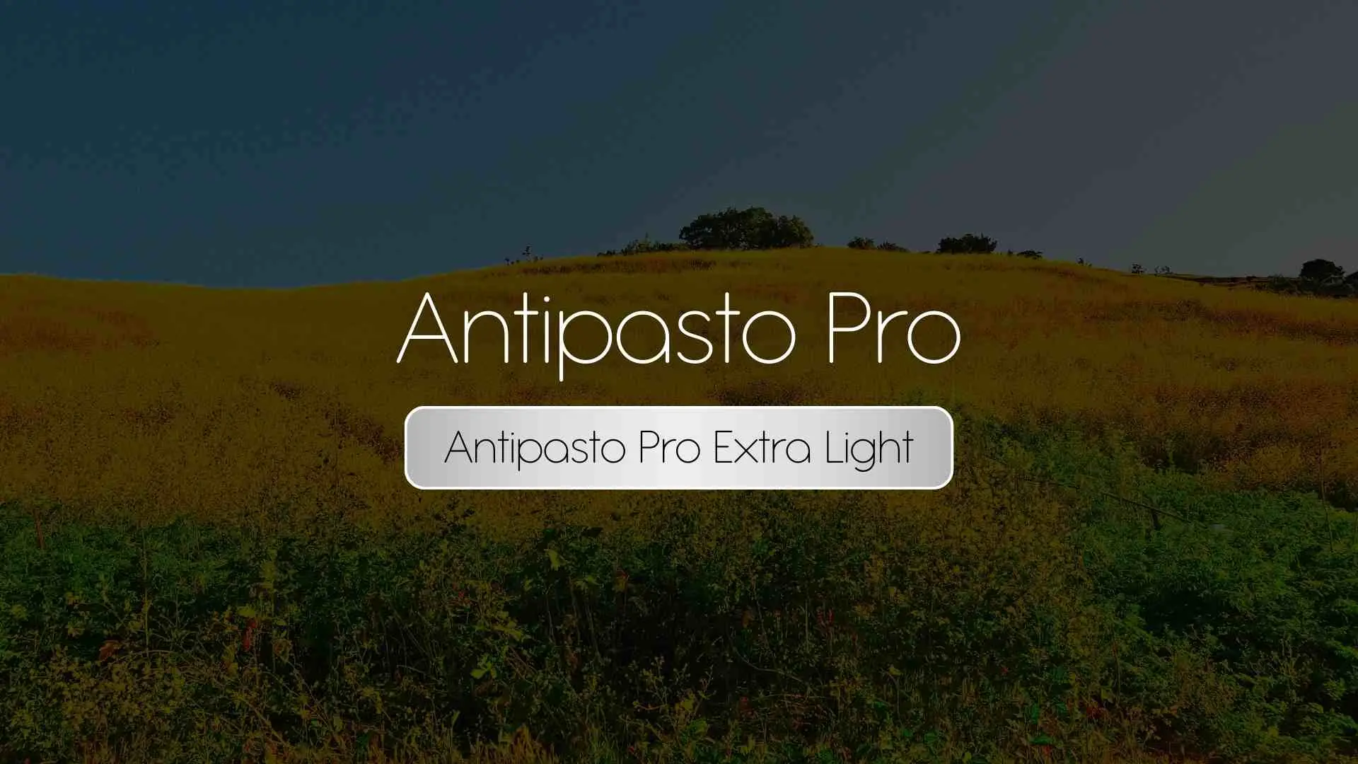 Antipasto Pro Hairline