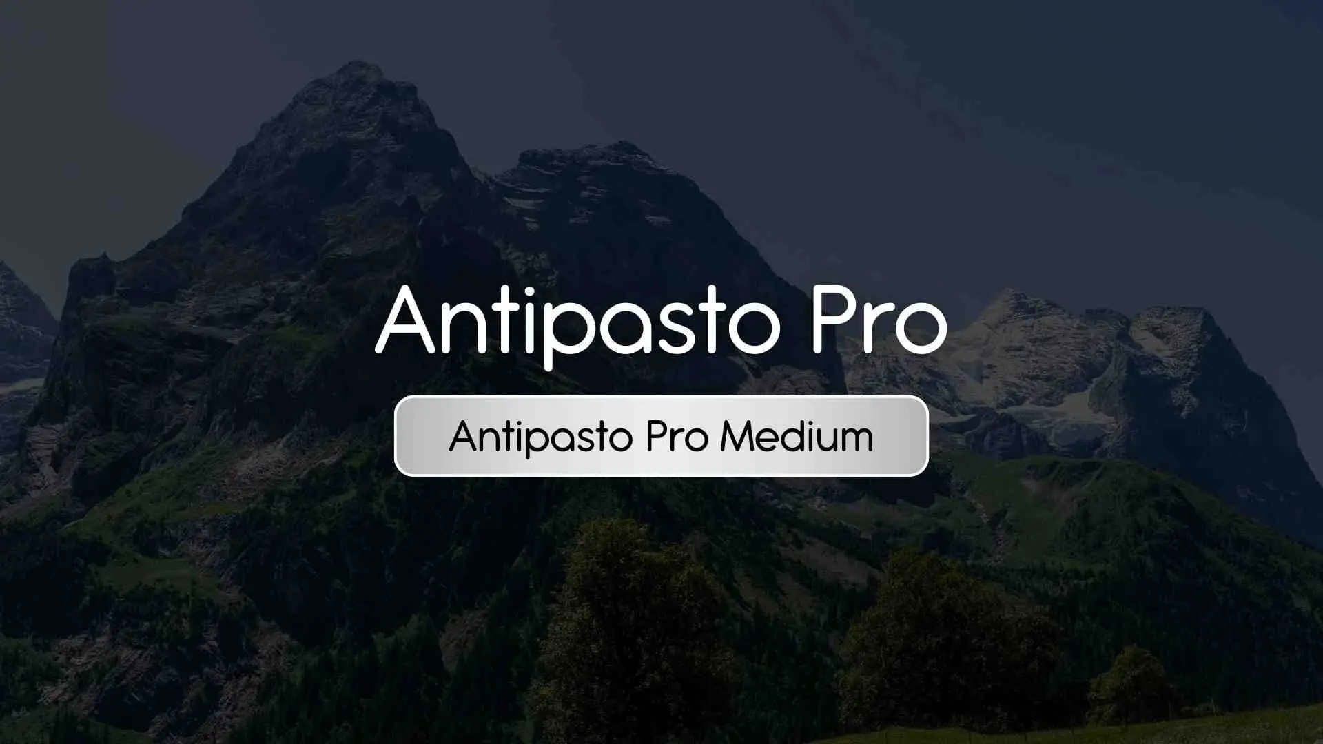 Antipasto Pro Medium