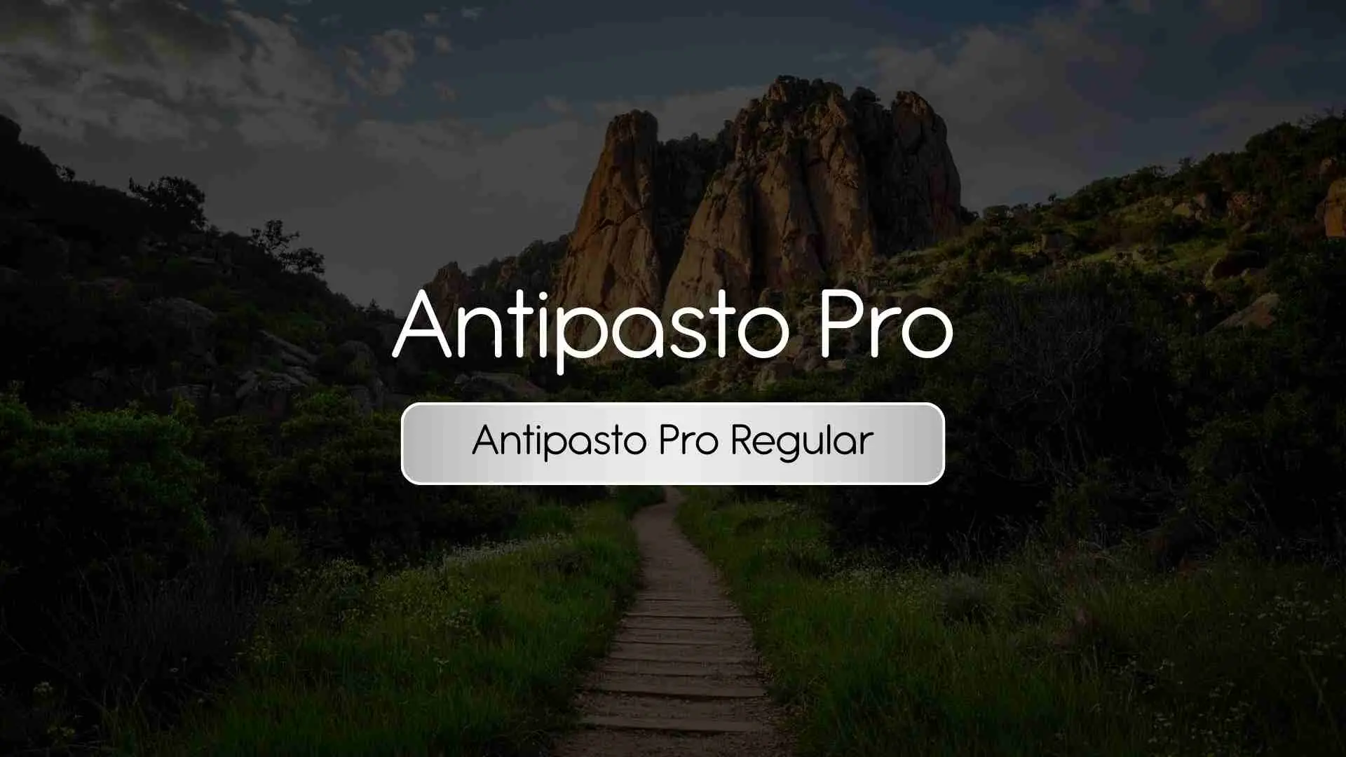 Antipasto Pro Regular