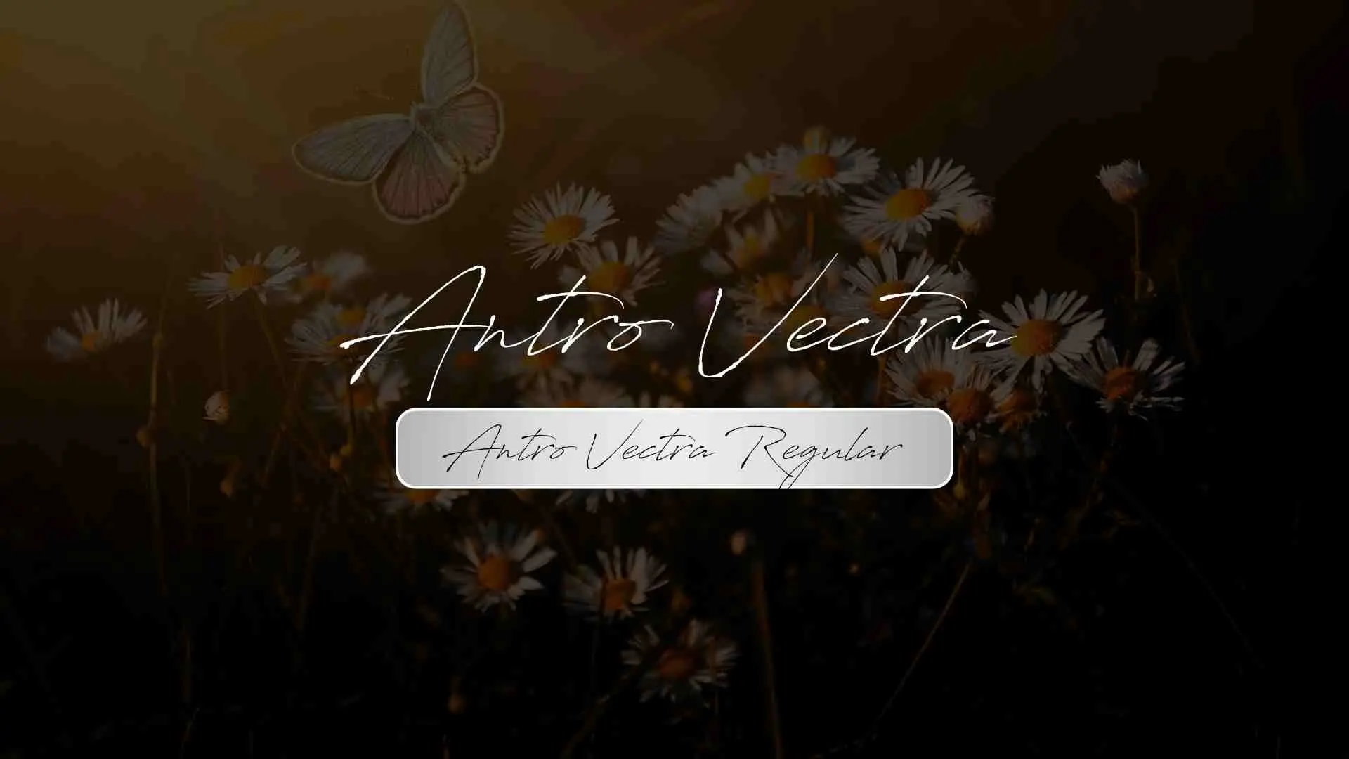 Antro Vectra Regular