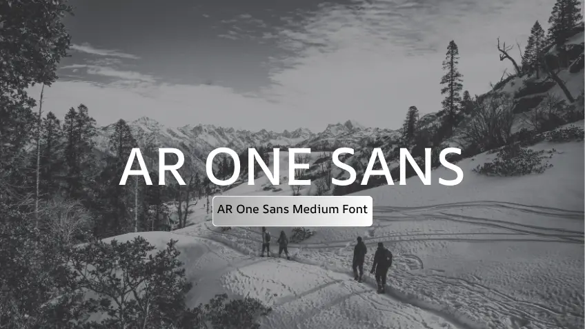 AR One Sans Medium