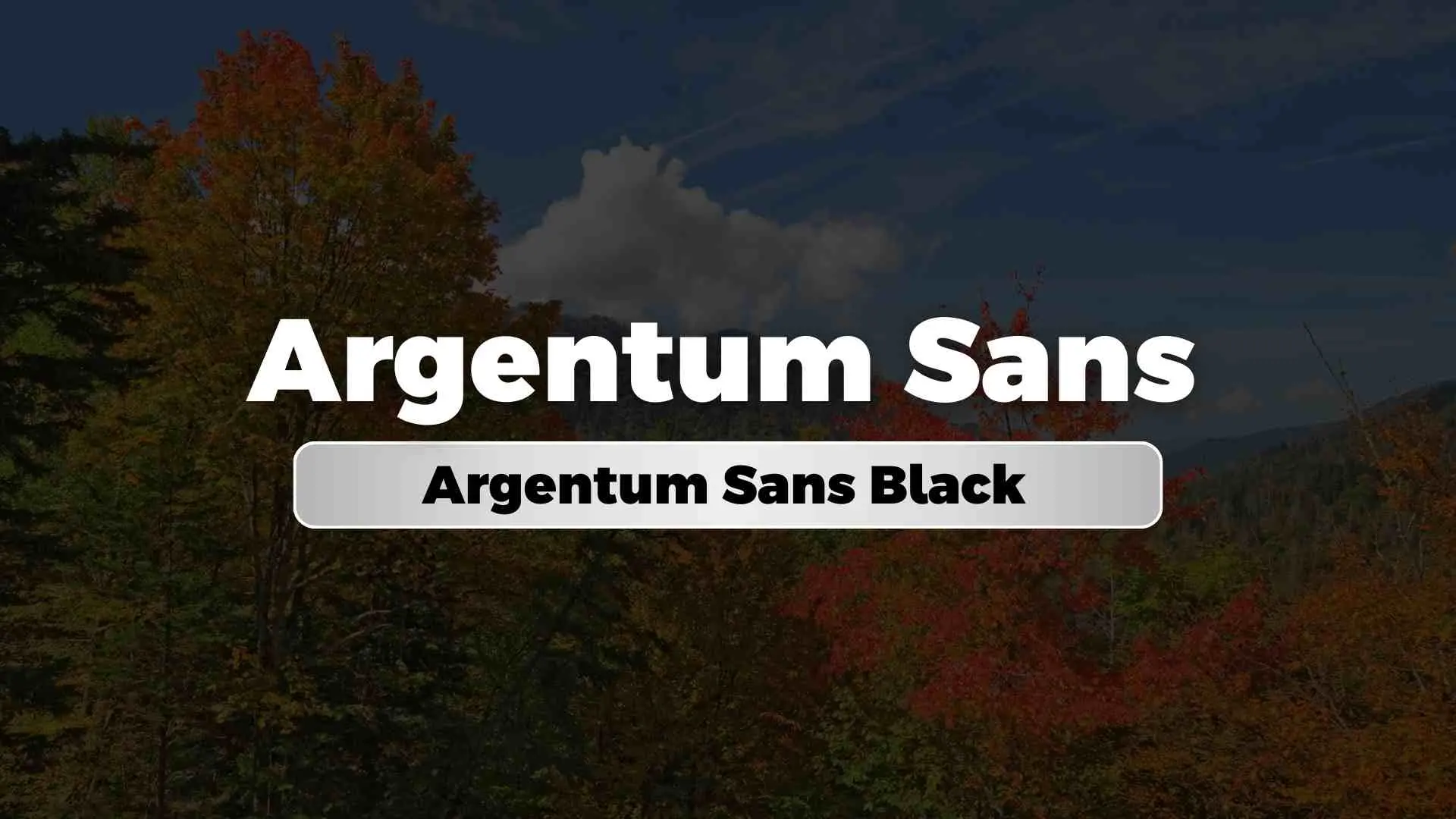 Argentum Sans Black