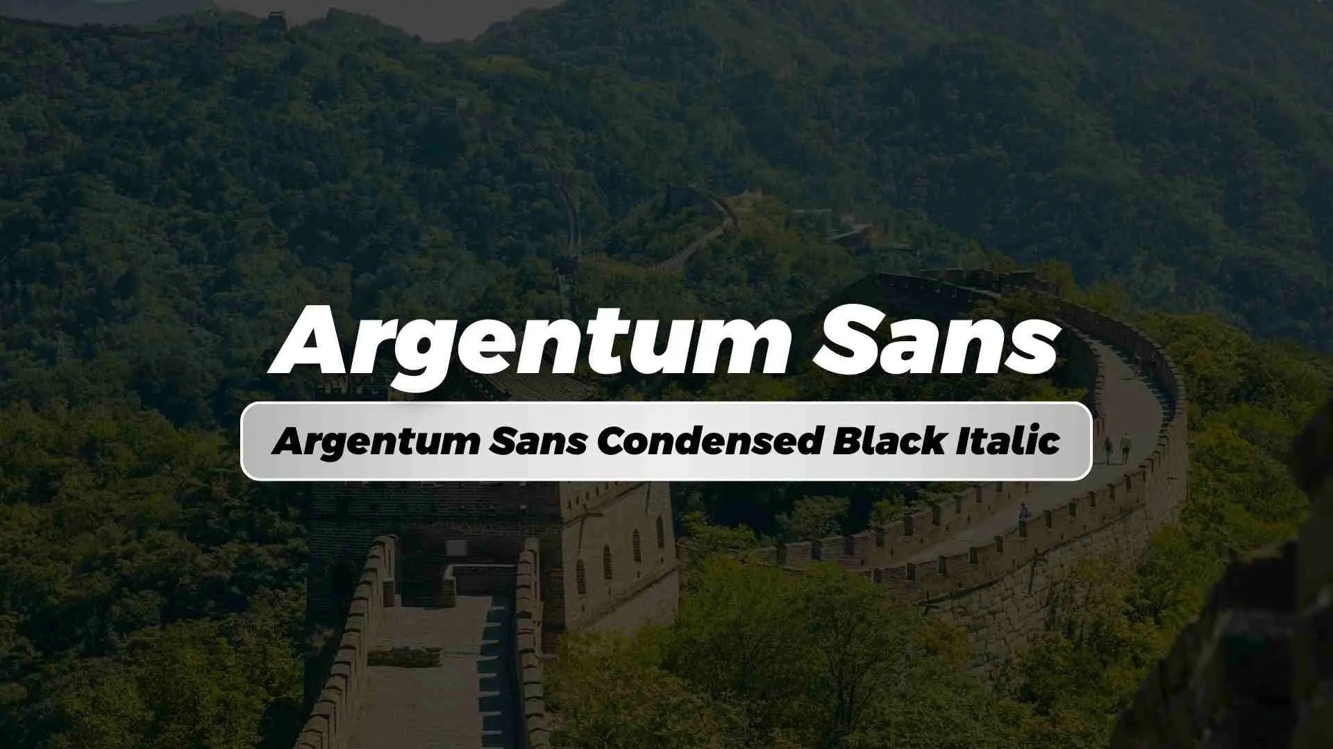 Argentum Sans Condensed Black Italic