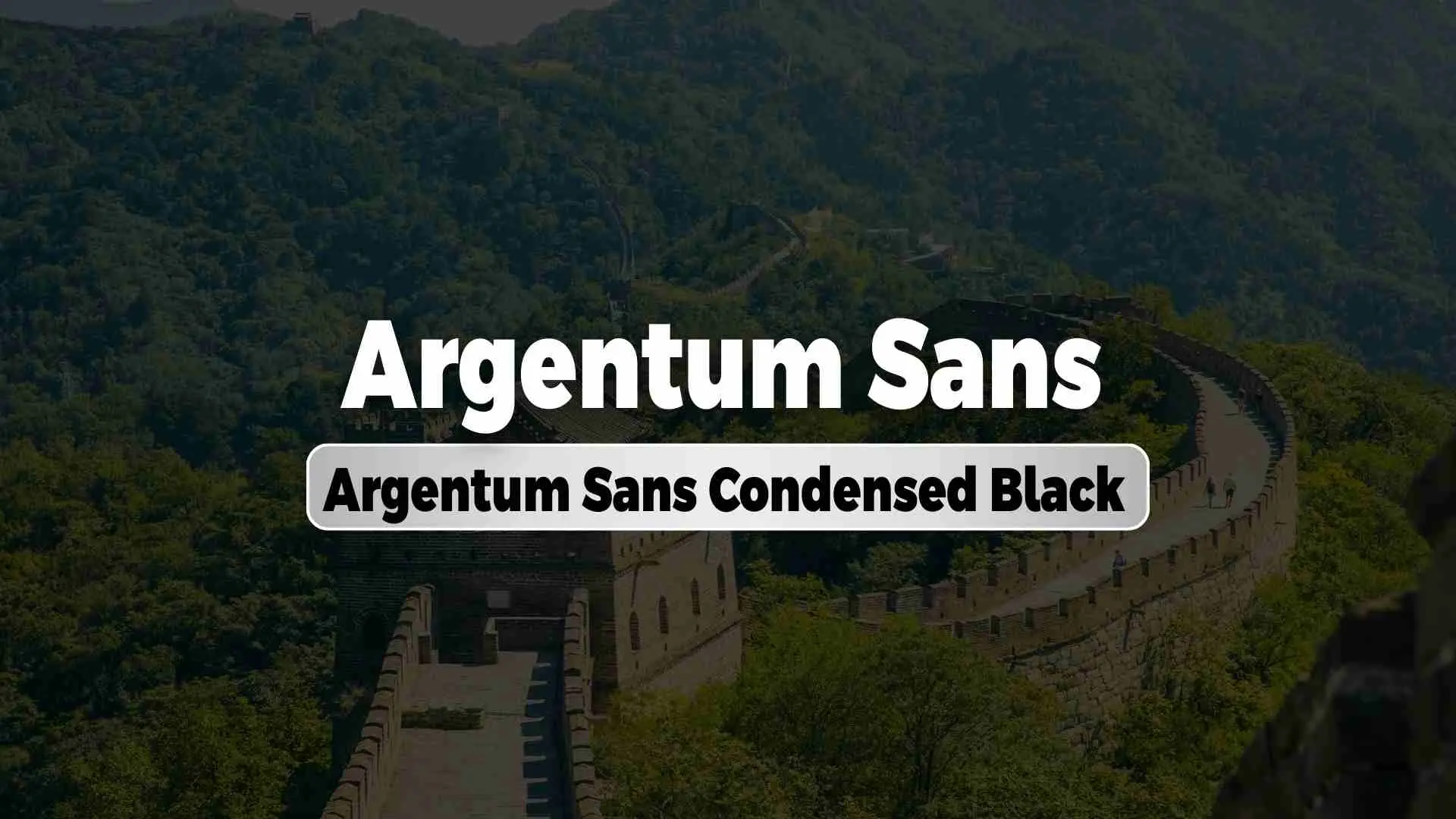 Argentum Sans Condensed Black