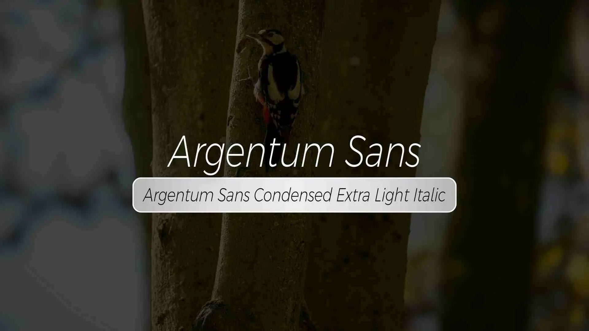 Argentum Sans Condensed Extra Light Italic