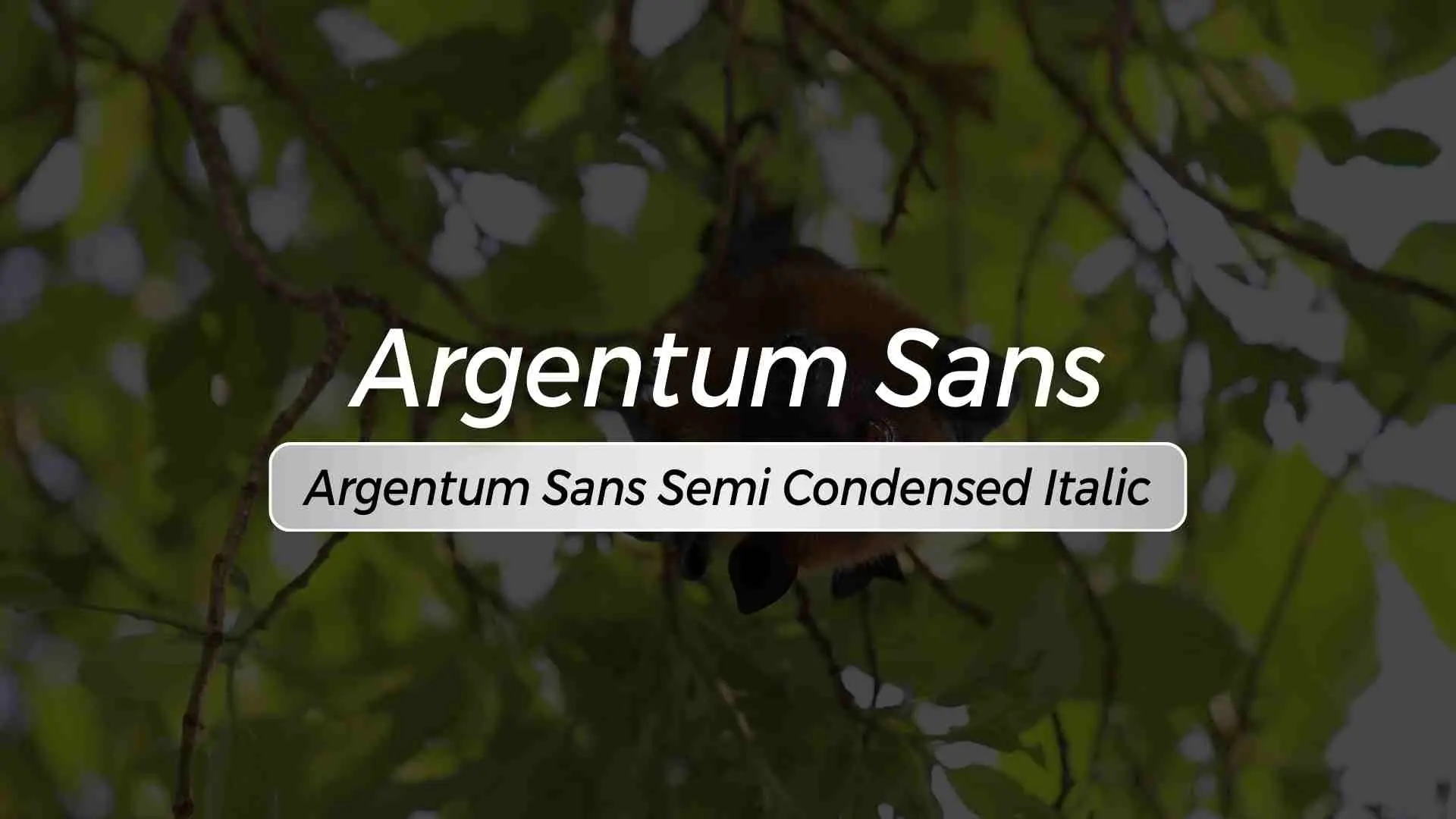 Argentum Sans Semi Condensed Italic