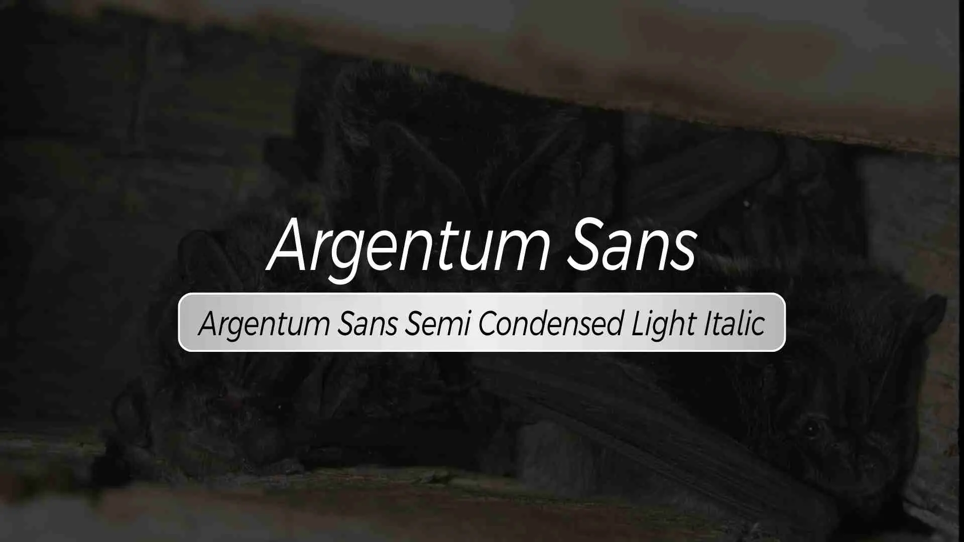 Argentum Sans Semi Condensed Light Italic