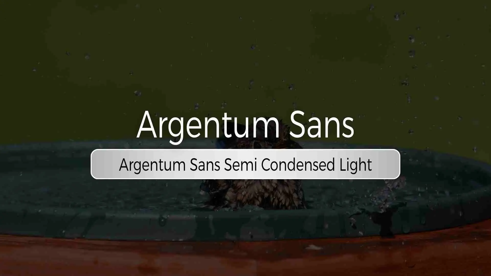 Argentum Sans Semi Condensed Light