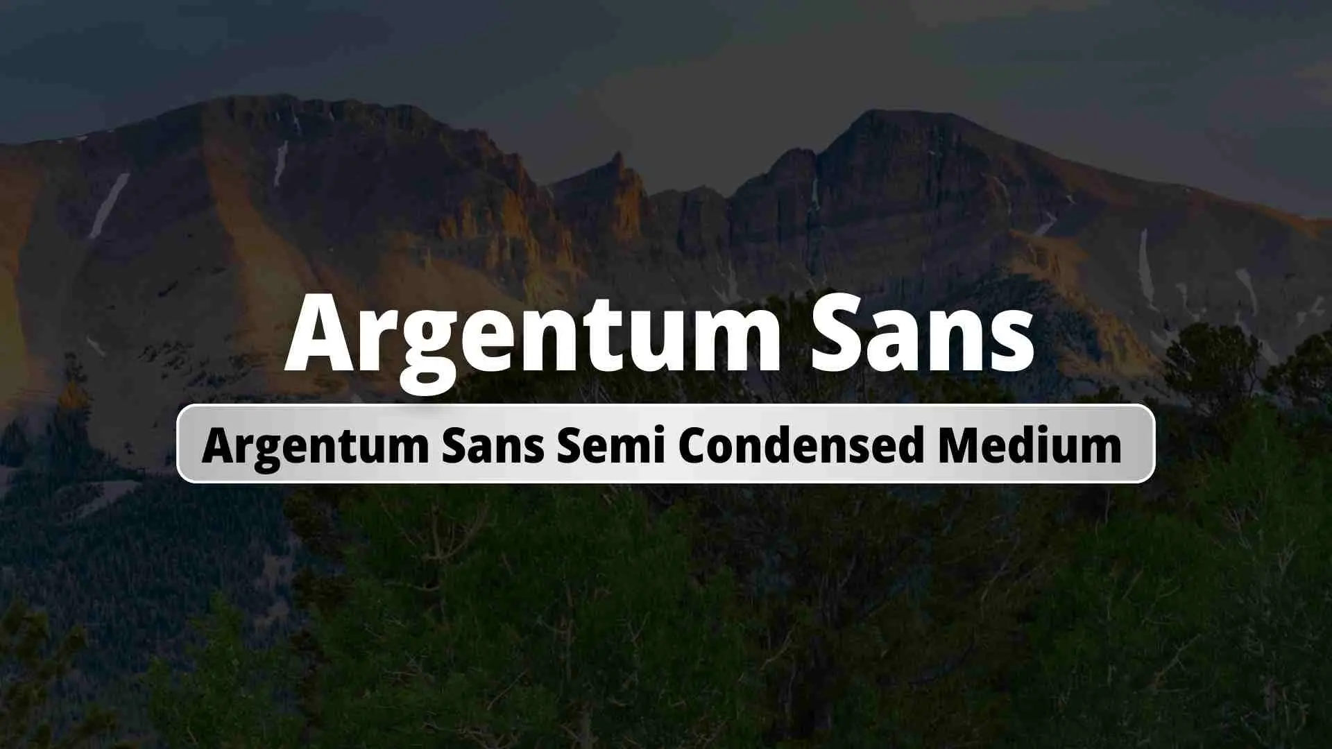 Argentum Sans Semi Condensed Medium