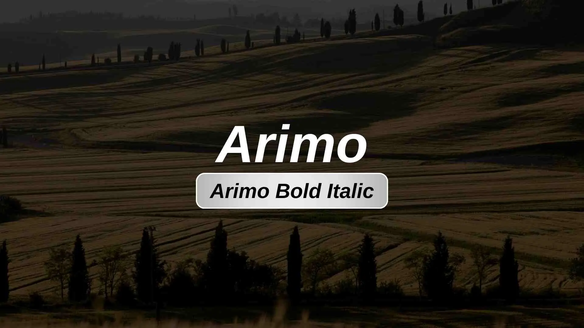 Arimo Bold Italic