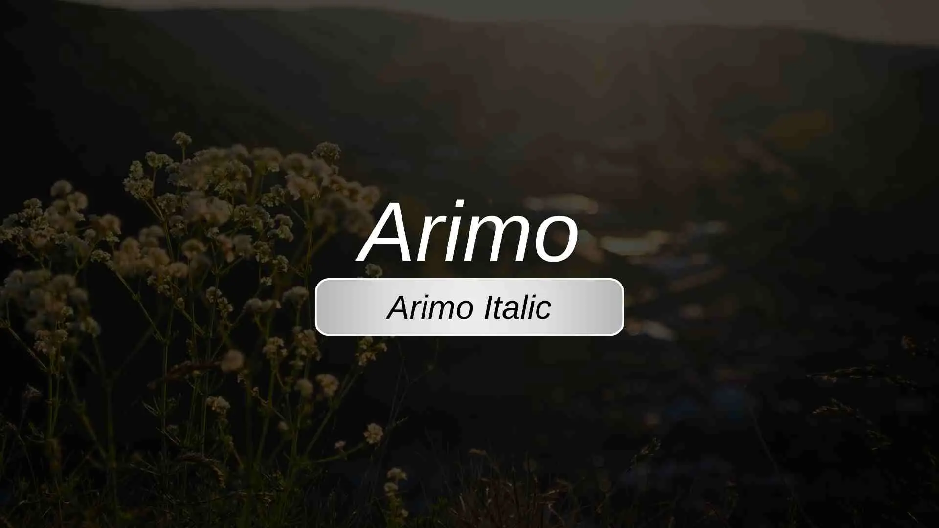 Arimo Italic