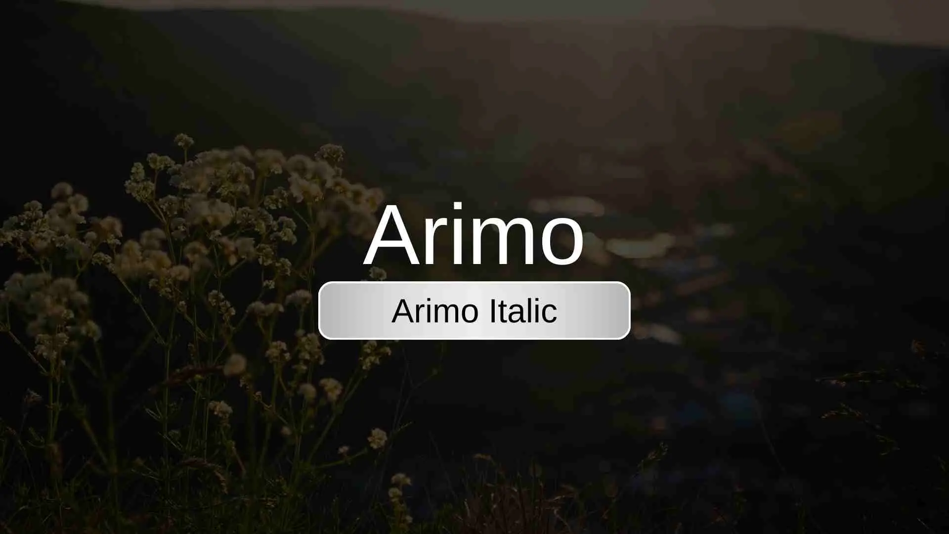 Arimo Regular