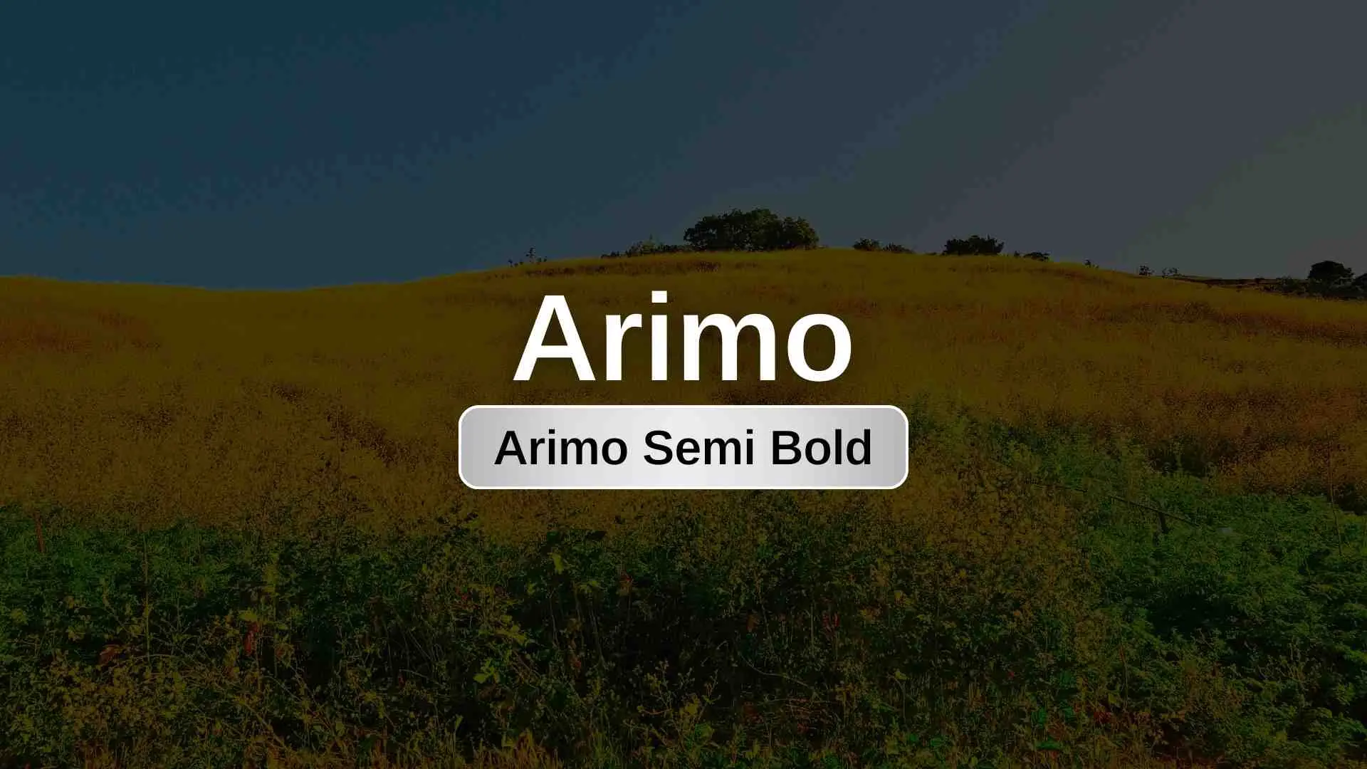 Arimo Semi Bold