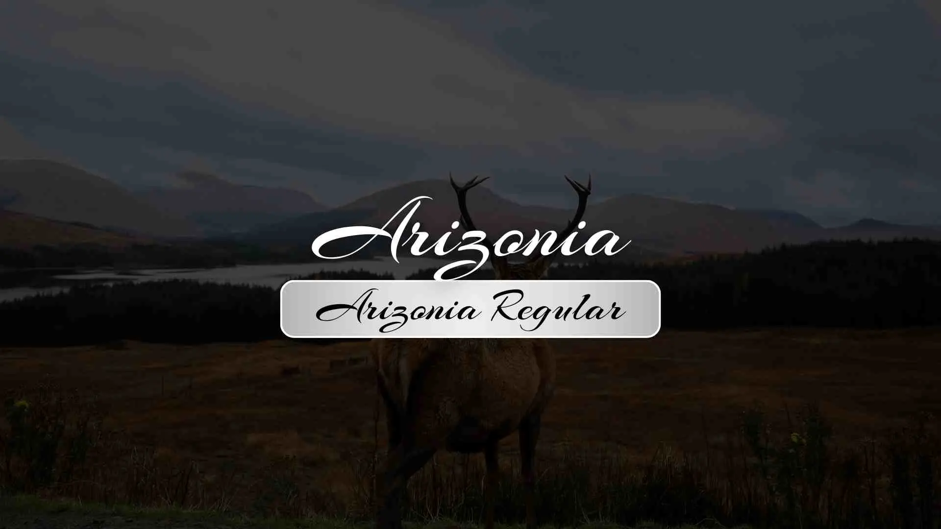 Arizonia Regular