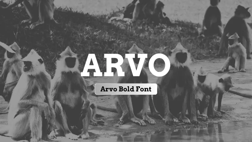 Arvo Bold