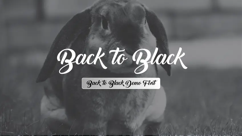 Back to Black Demo