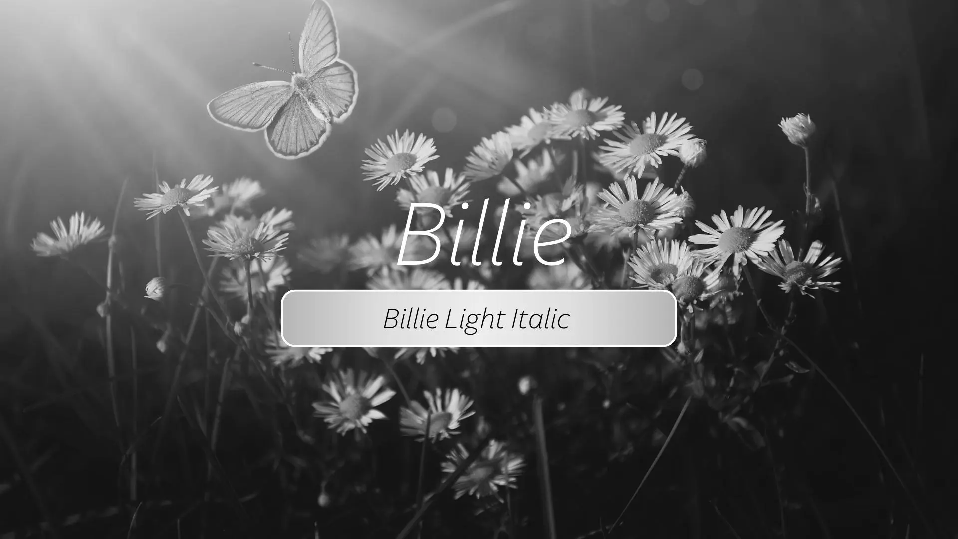 Billie Light Italic