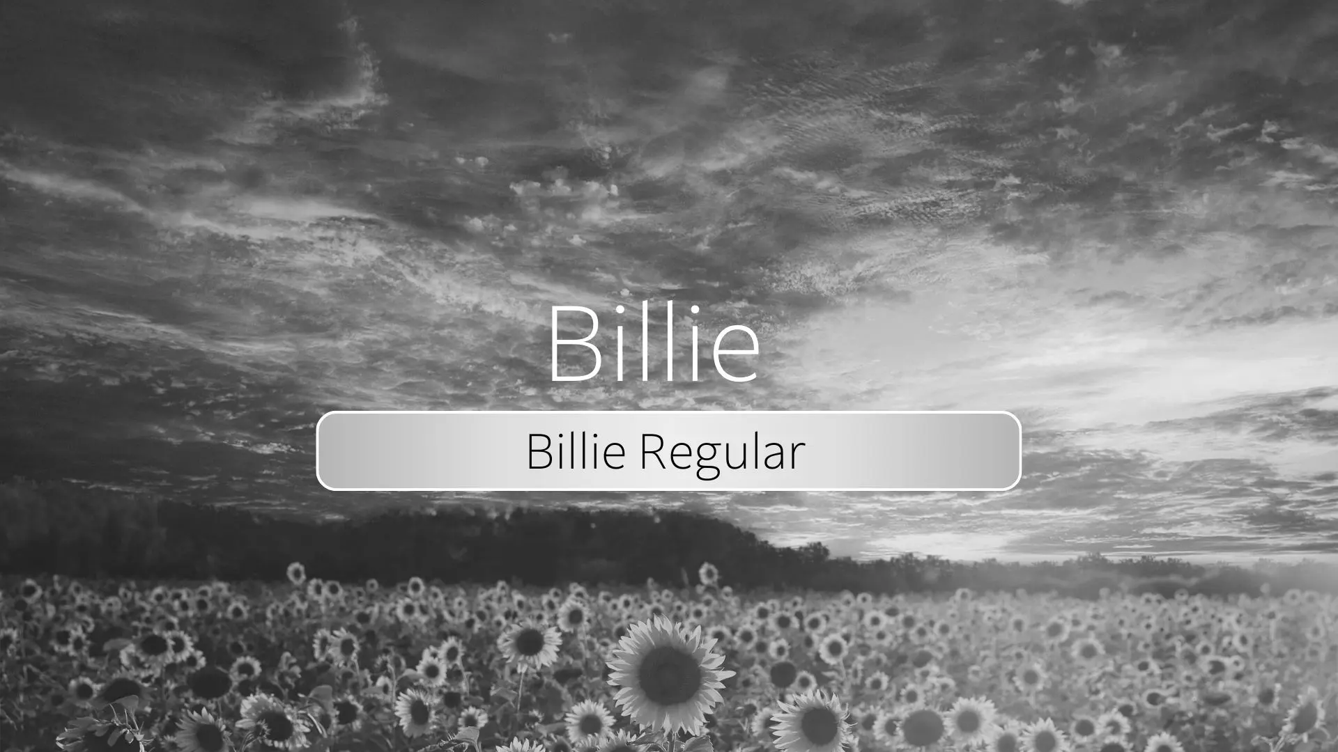 Billie Regular