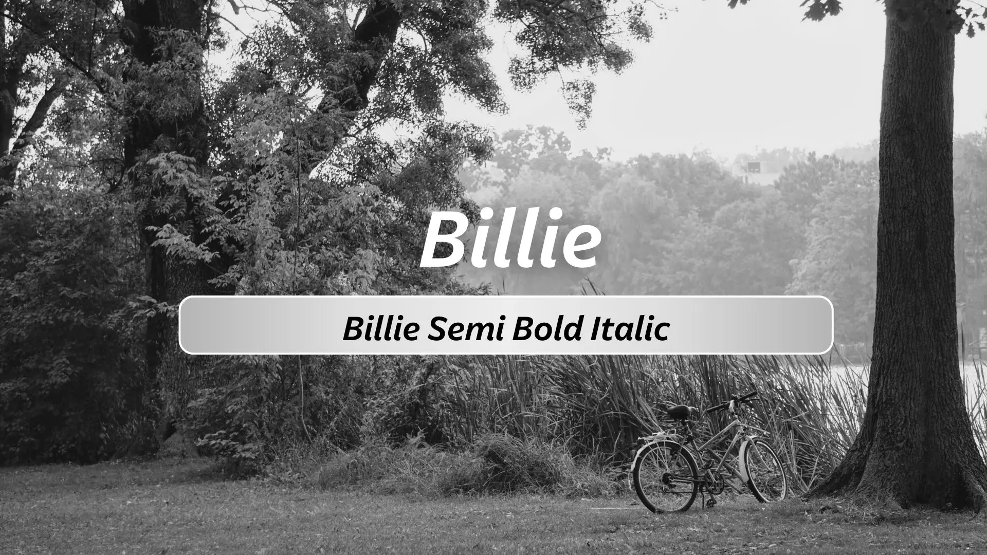 Billie Semi Bold Italic