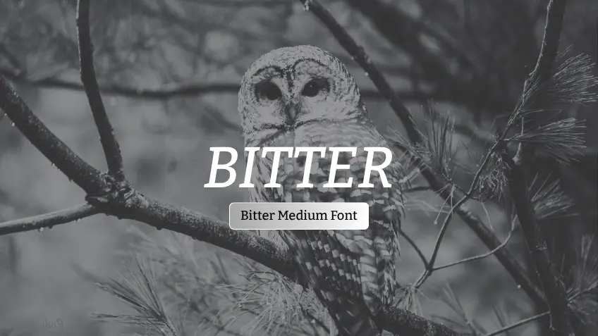 Bitter Medium