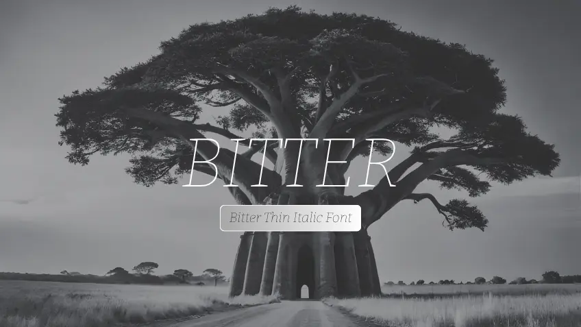 Bitter Thin Italic
