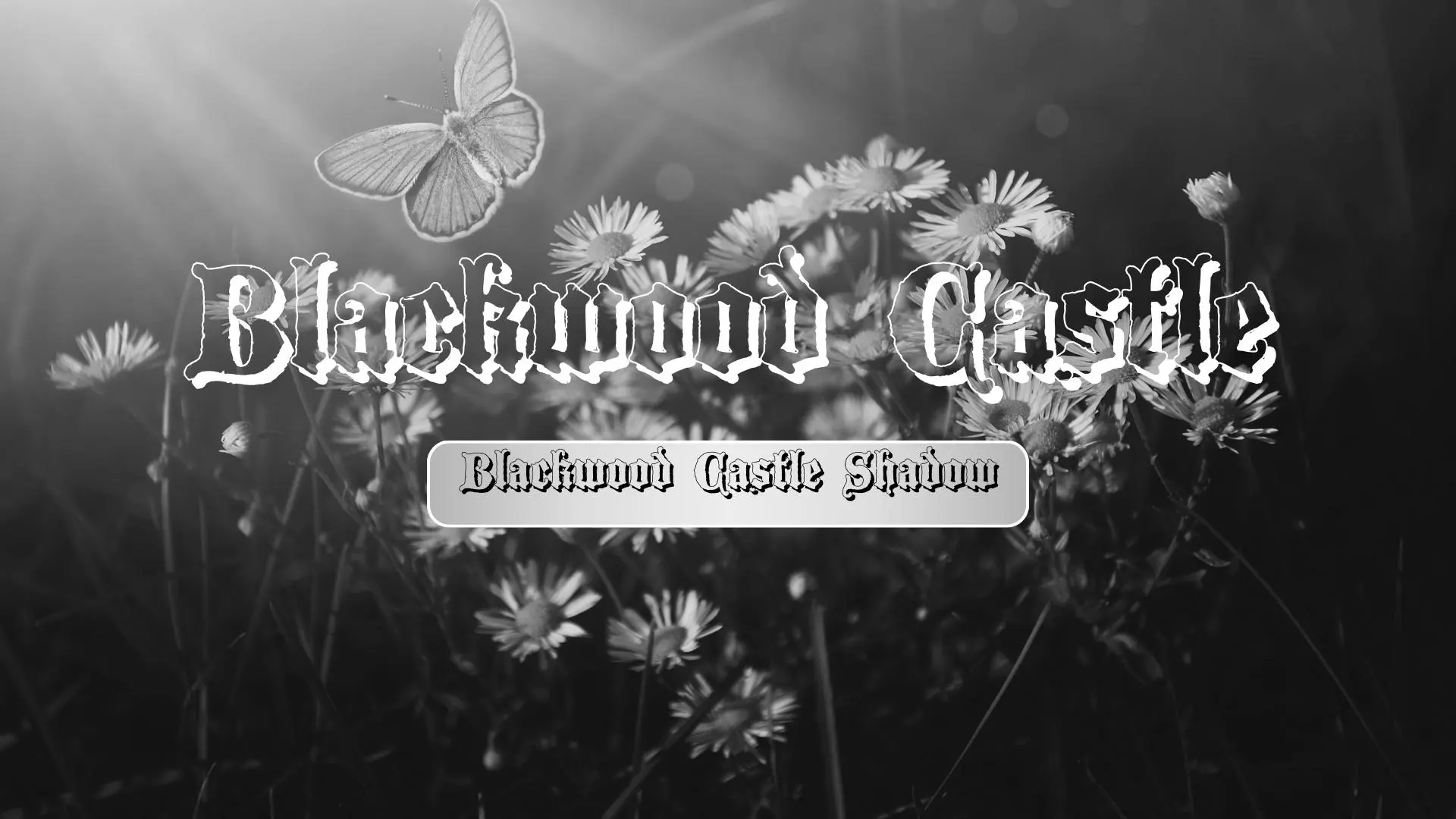 Blackwood Castle Shadow