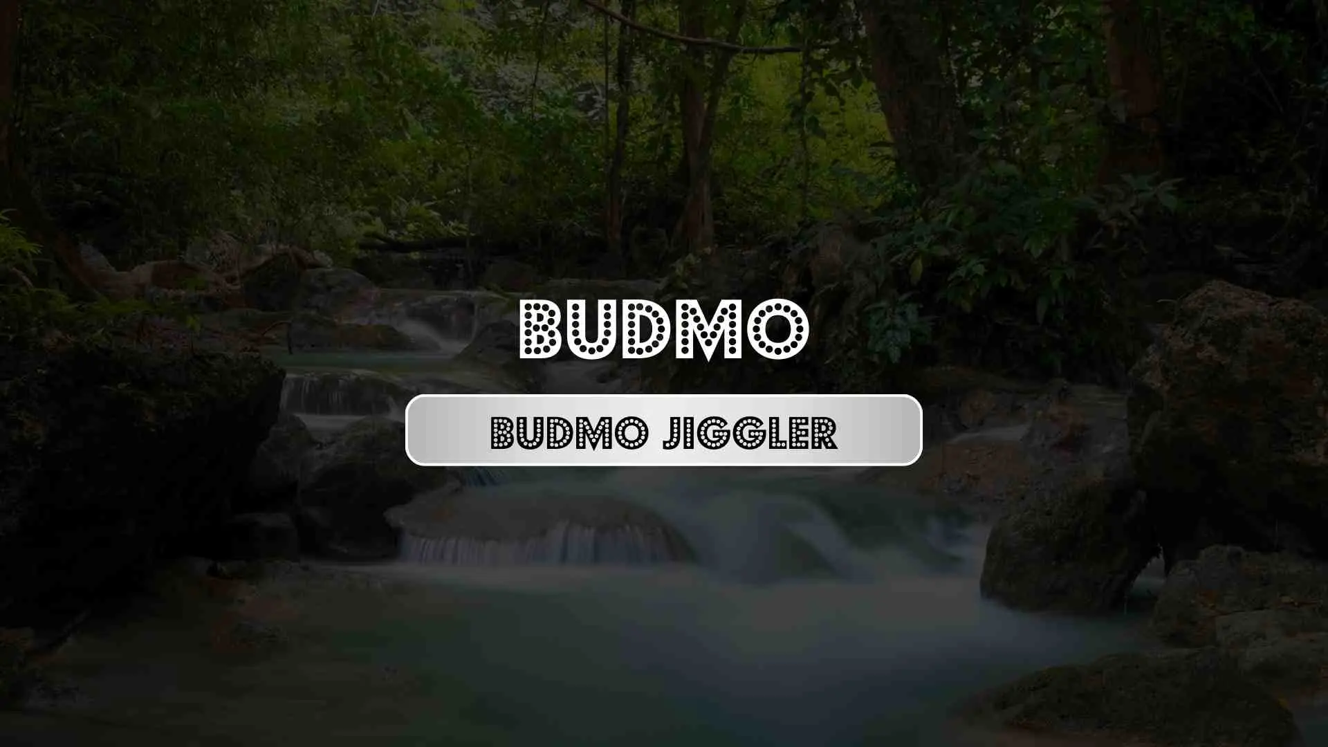 Budmo Jiggler