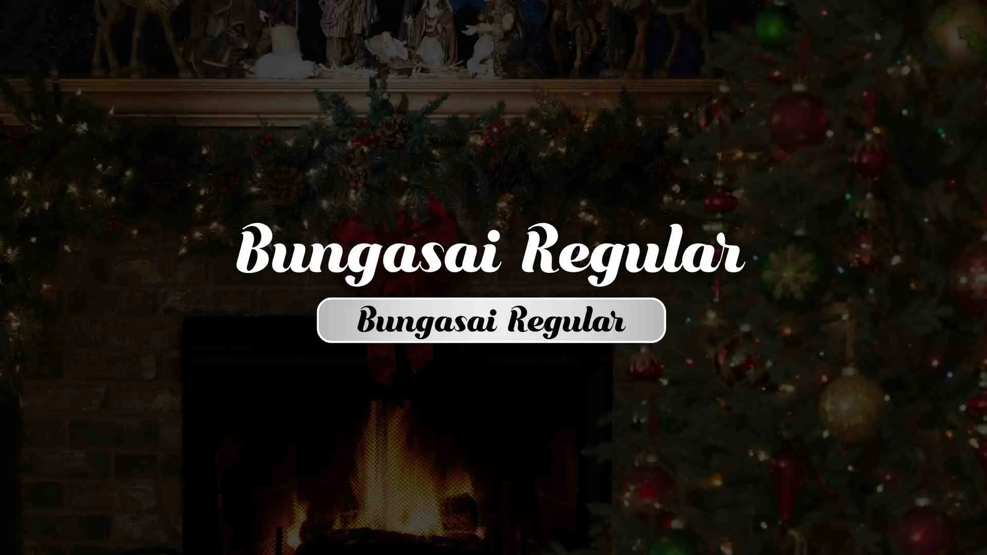 Bungasai Regular