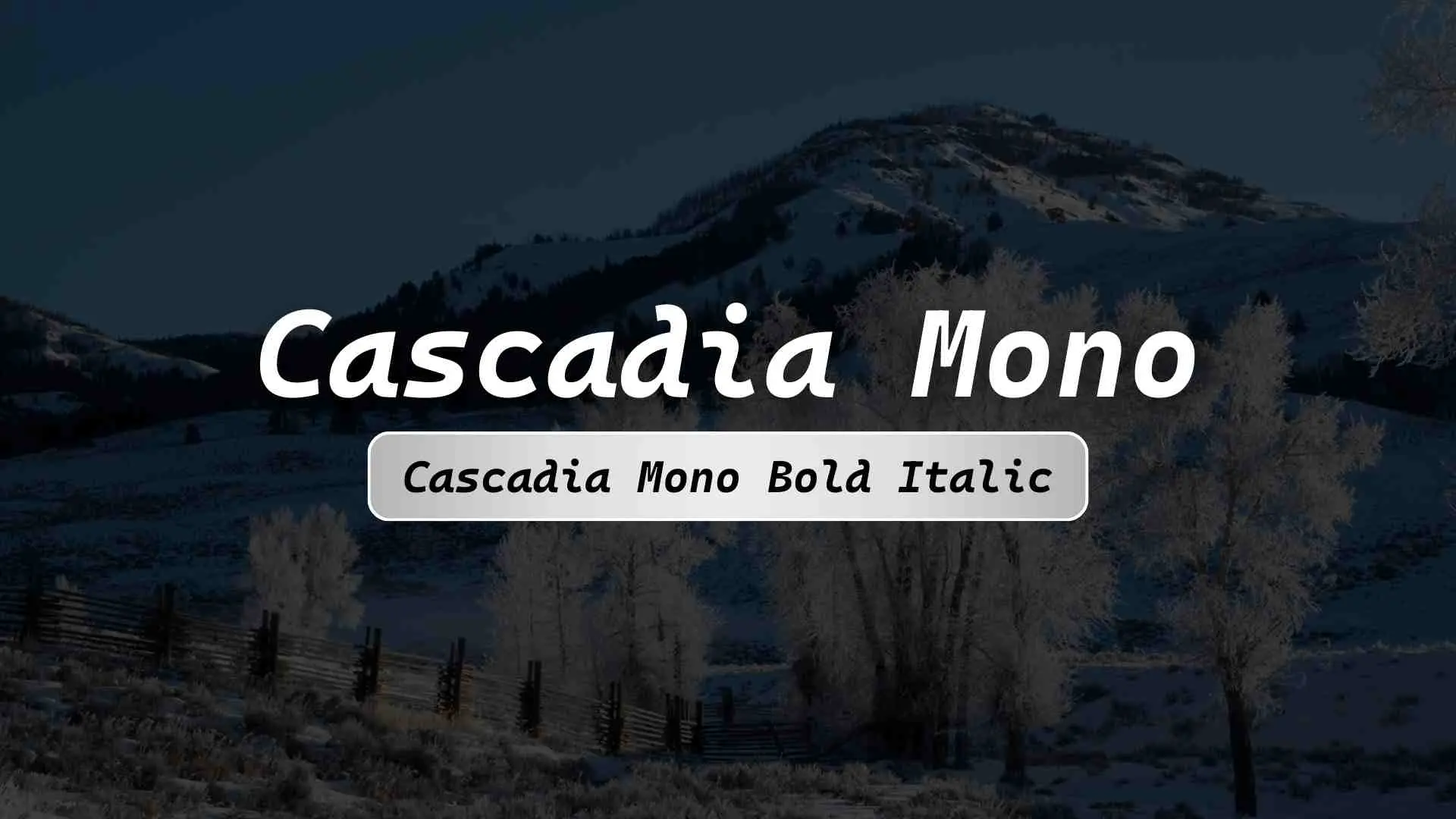 Cascadia Mono Bold Italic