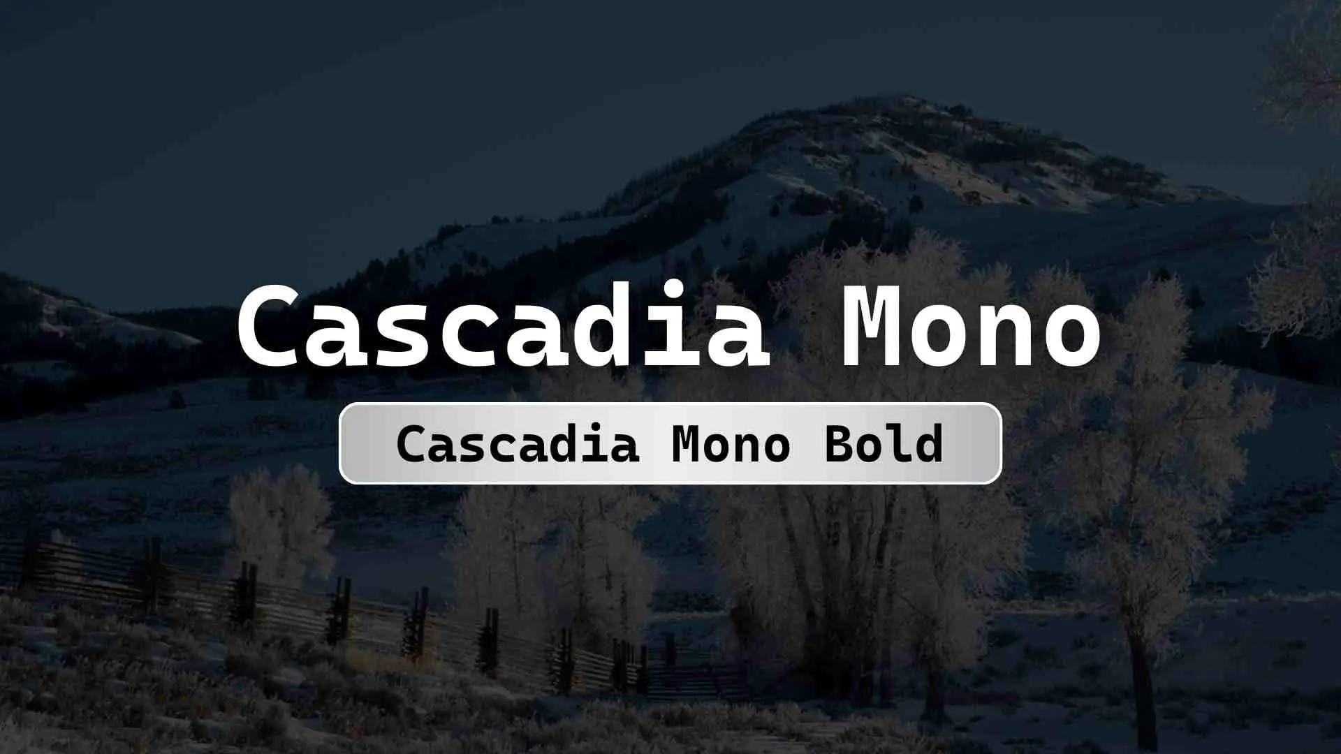 Cascadia Mono Bold