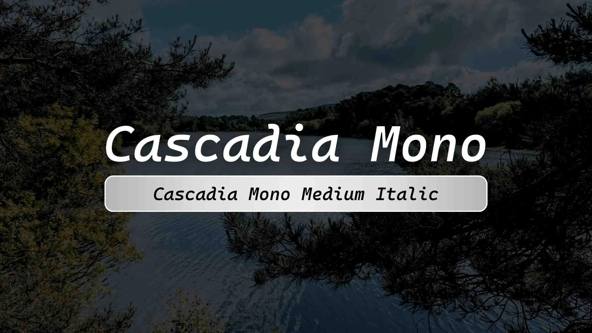Cascadia Mono Medium Italic
