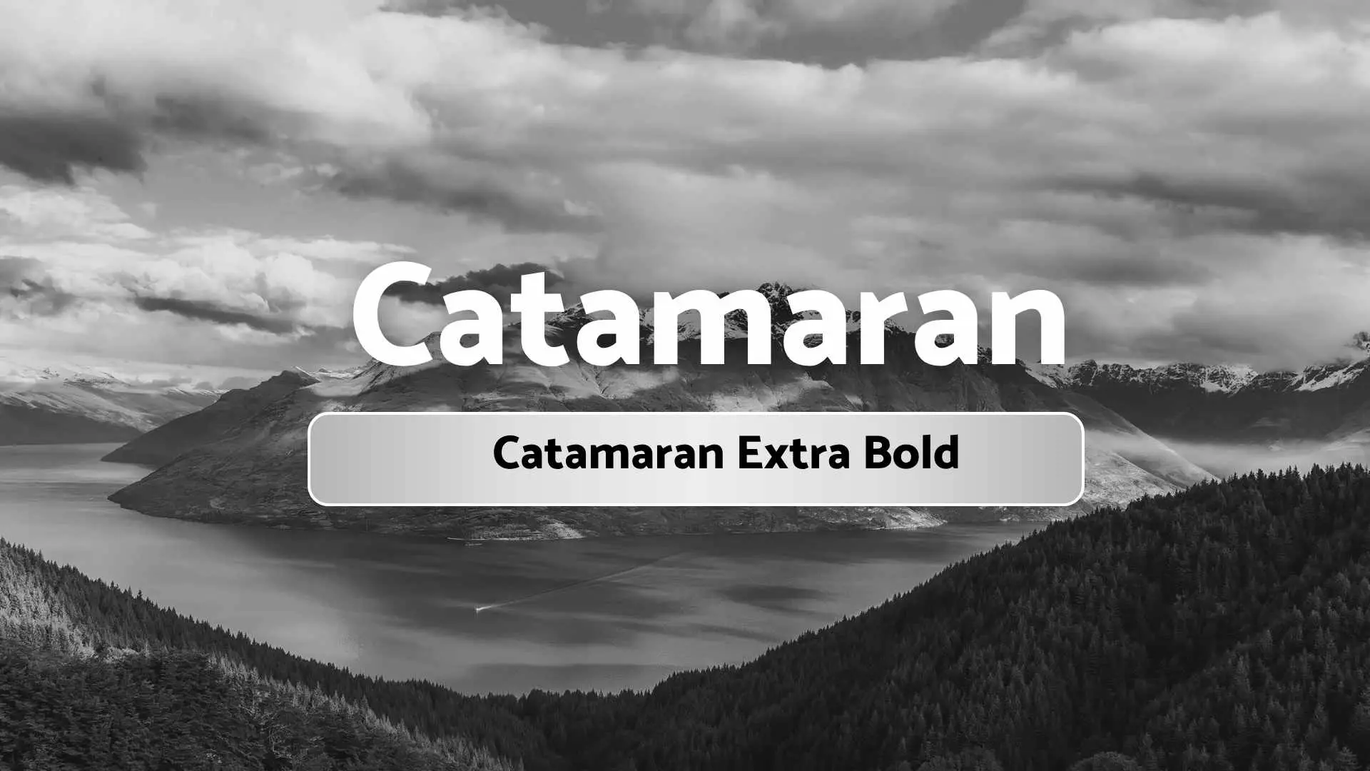 Catamaran Extra Bold