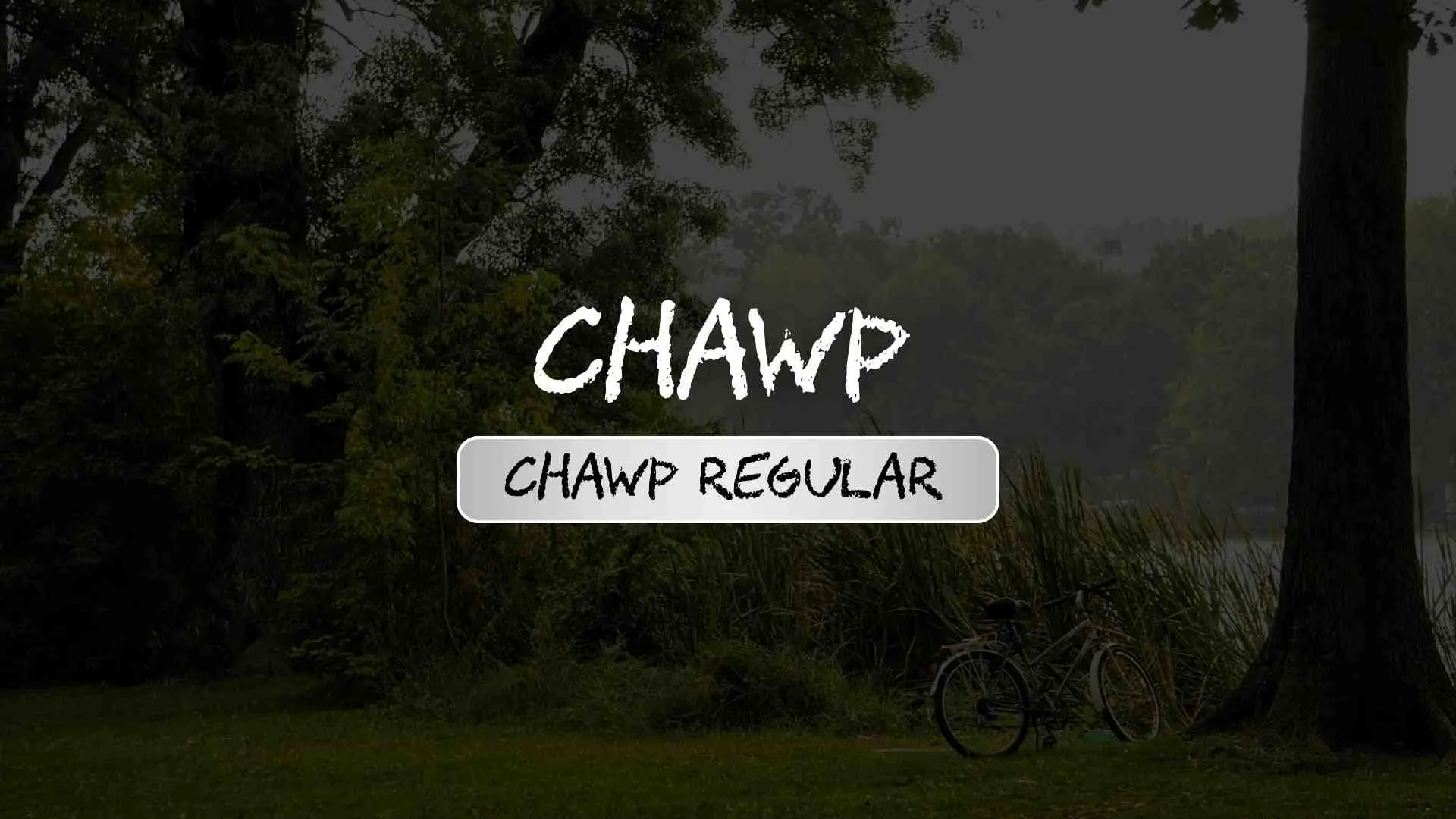 CHAWP Regular