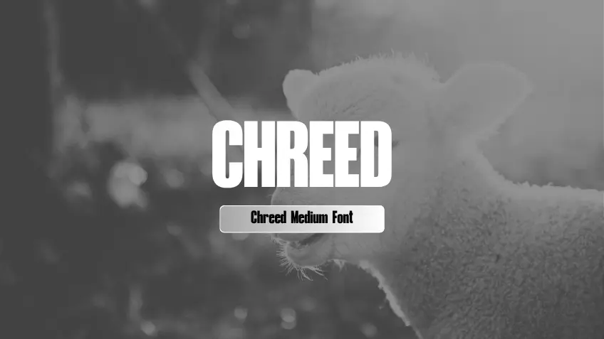 Chreed Medium