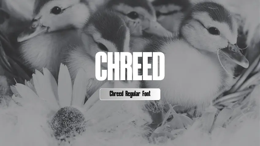 Chreed Regular