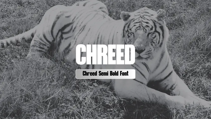 Chreed Semi Bold