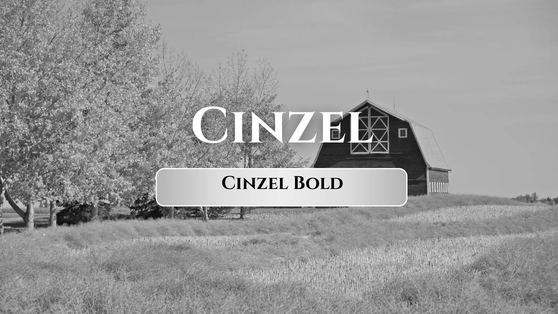 Cinzel Bold