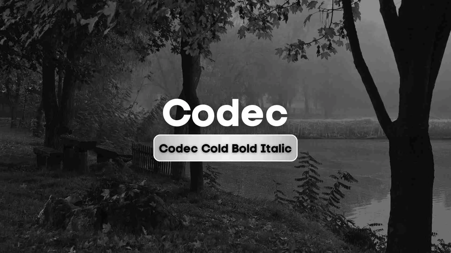 Codec Cold Bold Italic