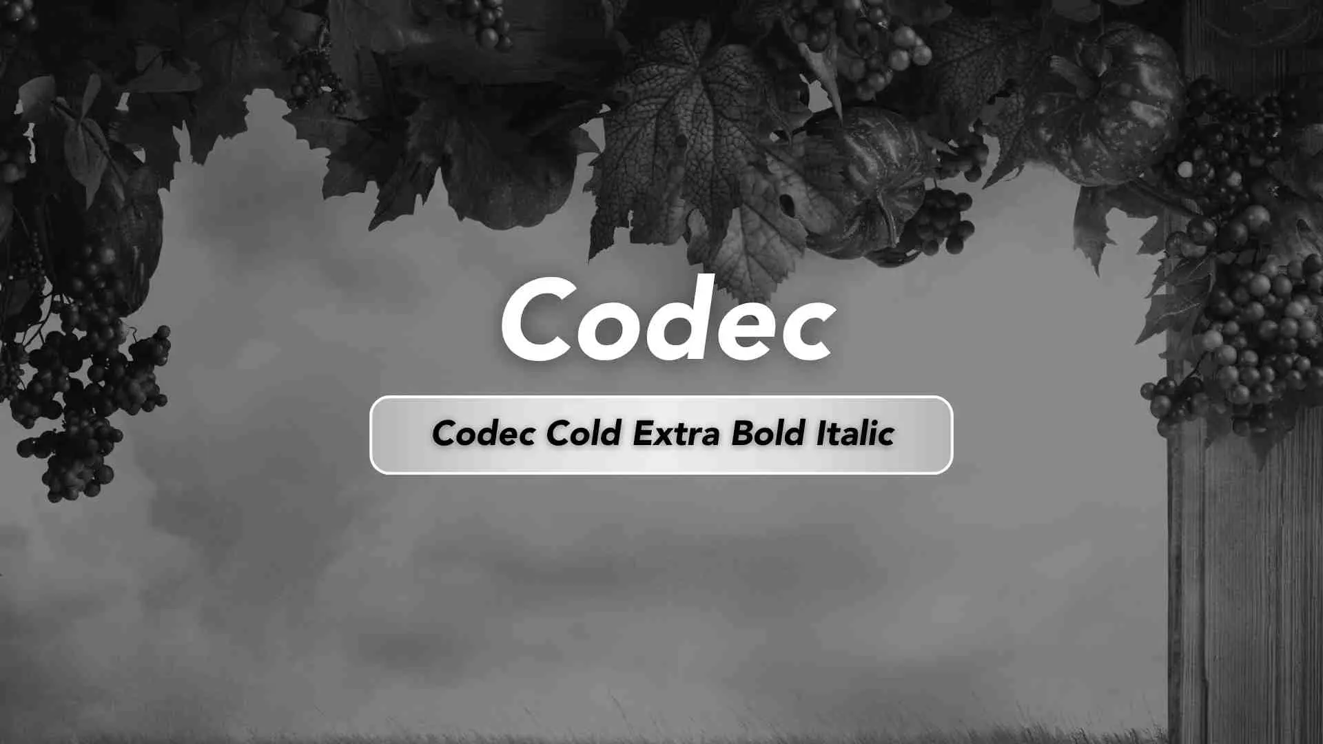 Codec Cold Extra Bold Italic